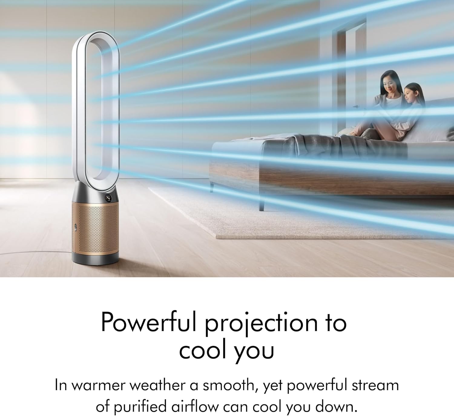 Dyson Purifier Cool PC2 De-NOx