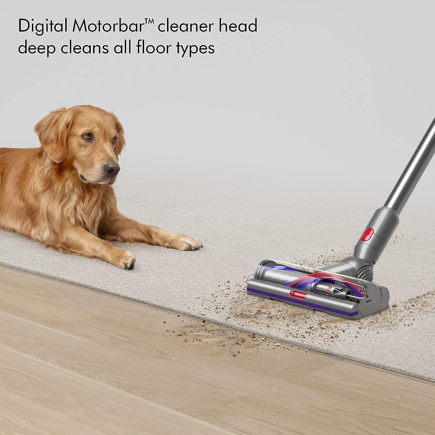 dyson digital motorbar cleaner head