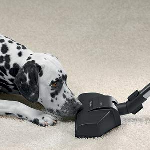 Miele Compact C1 Turbo Team Canister Vacuum, Obsidian Black